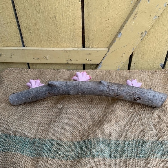 Anthropologie Flower Coat Hook Rack Flower Knobs - Picture 2 of 6